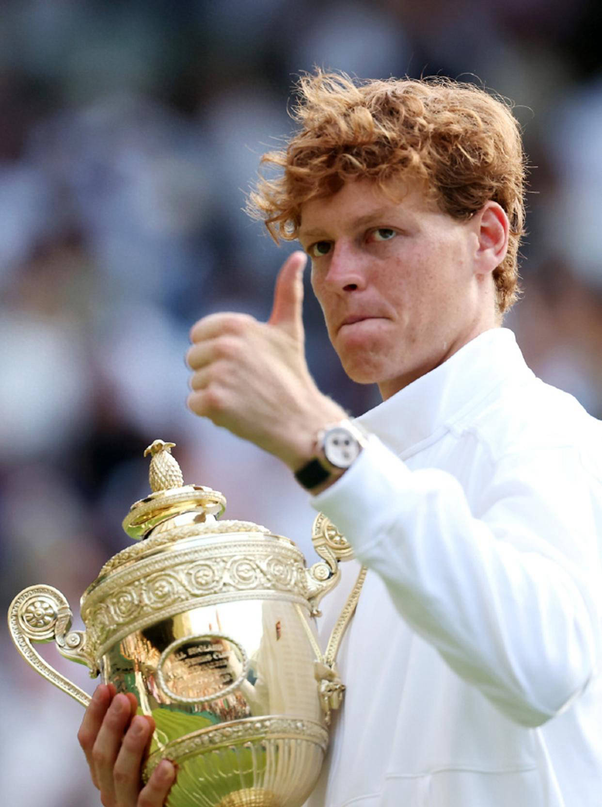 年终总决赛翻盘澳网，辛纳扛起全队的简单介绍