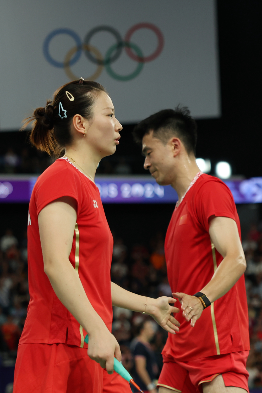 法国队完胜丹麦队，郑思维关键制胜的简单介绍